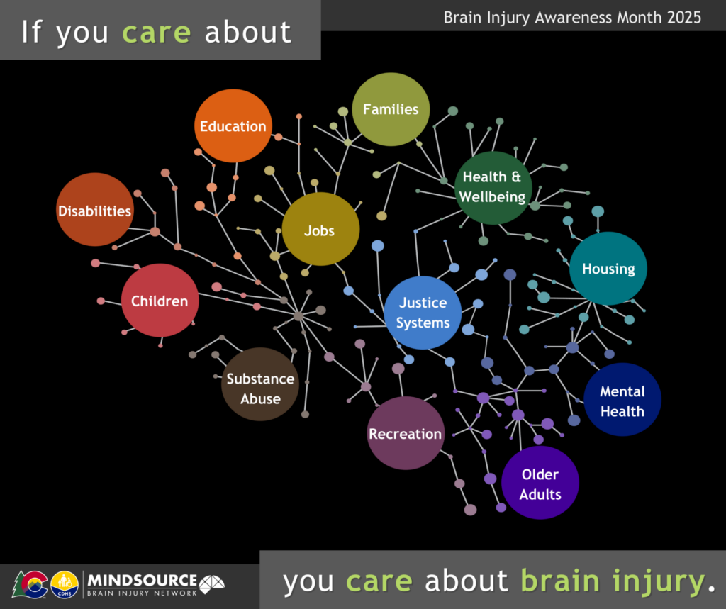 Image of the brain with different sectors with the words if you care about ... you care about brain injury.